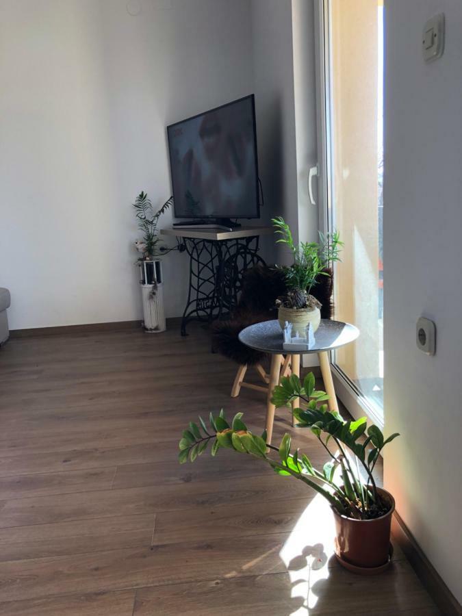 Apartment Viveniti クレノヴィツァ エクステリア 写真